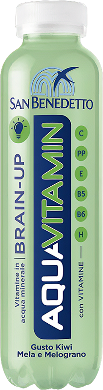 San Benedetto Aquavitamin Brain-Up 