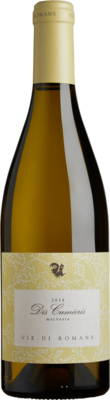 Malvasia 